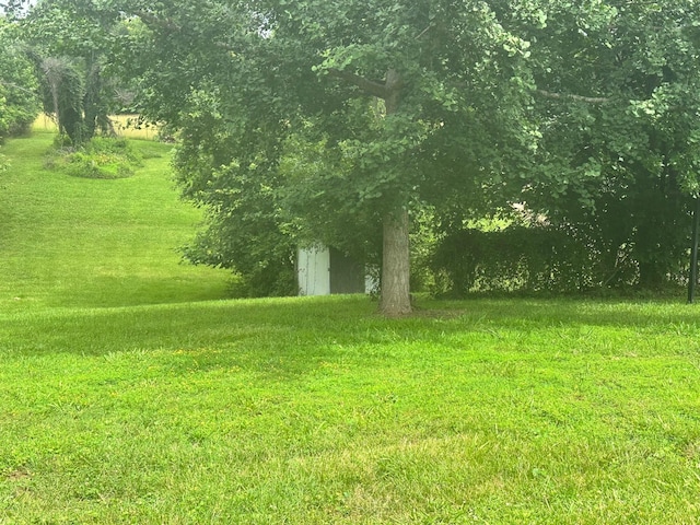 233 Flat Ridge Rd, Goodlettsville, TN 37072 - view of grassy yard