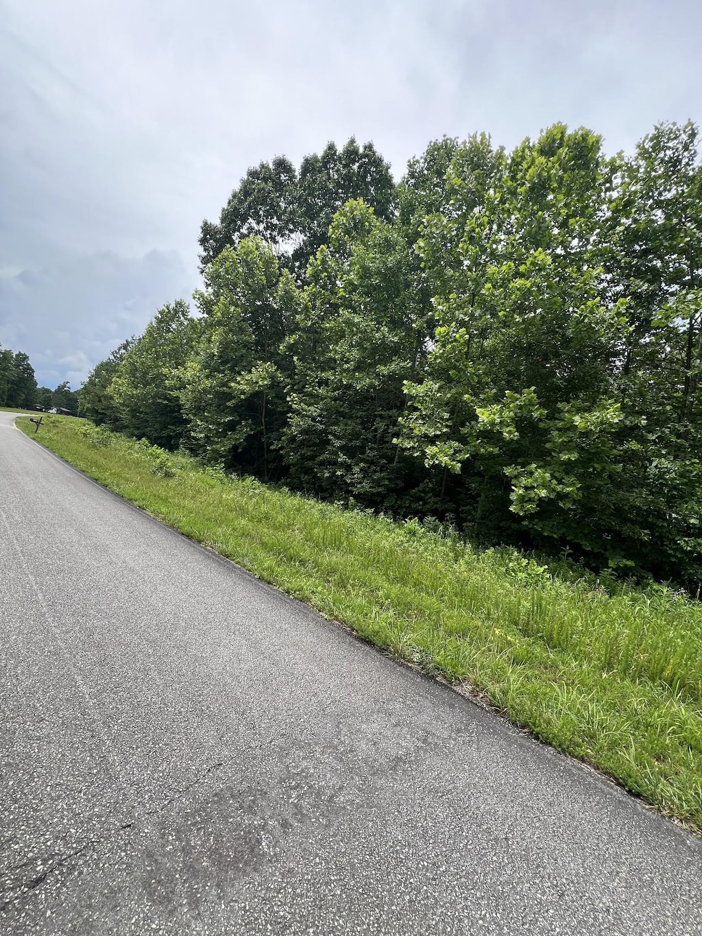 0 Nancy Shawl W, Dickson, TN 37055