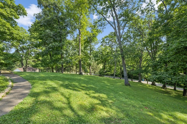 501 Moncrief Ave, Goodlettsville, TN 37072 - photo 28