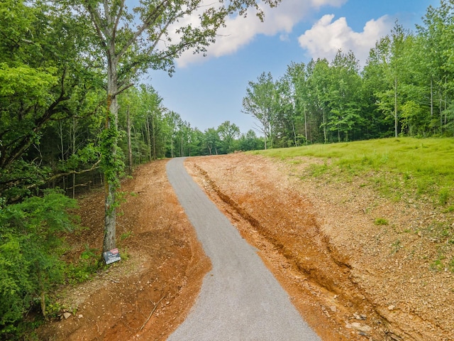 210 Reece Ln, Pulaski, TN 38478