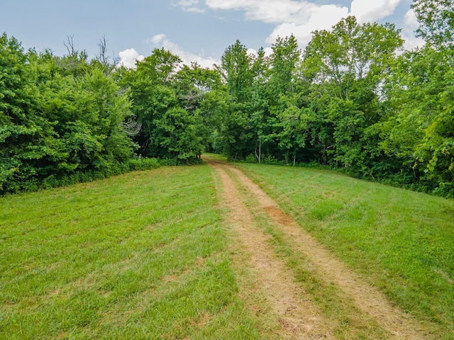 210 Reece Ln, Pulaski, TN 38478