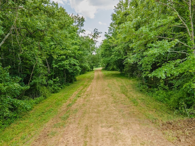 210 Reece Ln, Pulaski, TN 38478