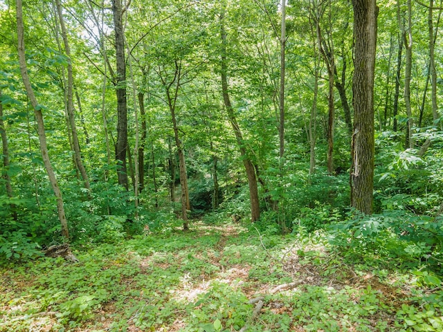 210 Reece Ln, Pulaski, TN 38478