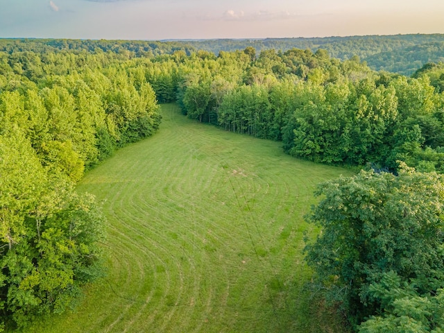 210 Reece Ln, Pulaski, TN 38478