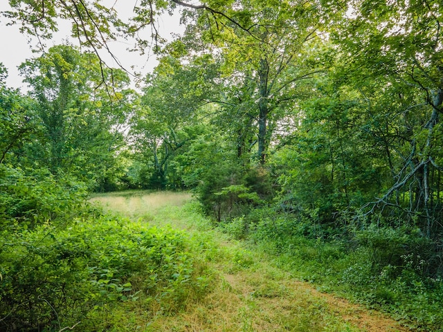 210 Reece Ln, Pulaski, TN 38478