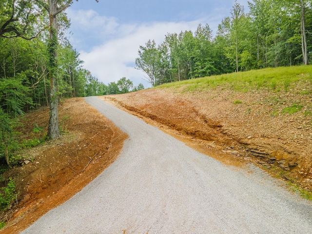 210 Reece Ln, Pulaski, TN 38478