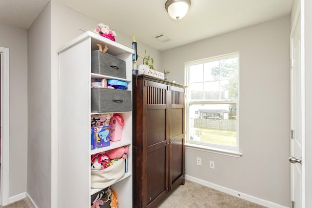 733 Hollandale Rd, La Vergne, TN 37086 - view of closet