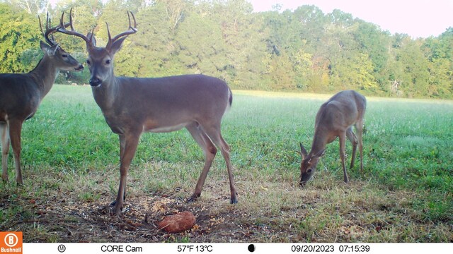0 Trice Rd, Lebanon, TN 37087 - photo 36