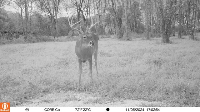 0 Trice Rd, Lebanon, TN 37087 - photo 33