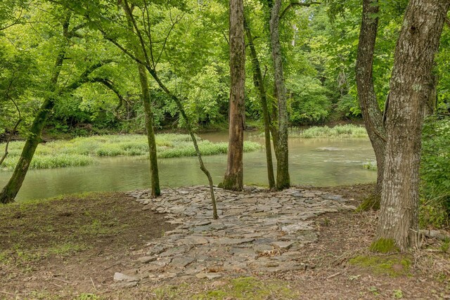 0 Trice Rd, Lebanon, TN 37087 - photo 29