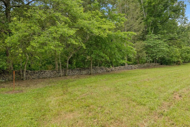 0 Trice Rd, Lebanon, TN 37087 - photo 21