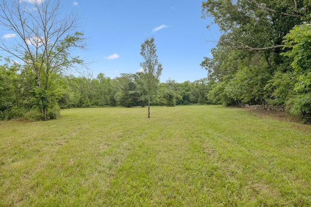 0 Trice Rd, Lebanon, TN 37087 - photo 27