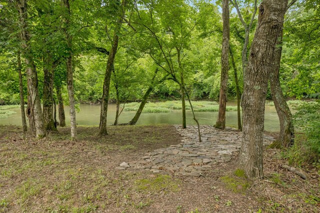 0 Trice Rd, Lebanon, TN 37087 - photo 30