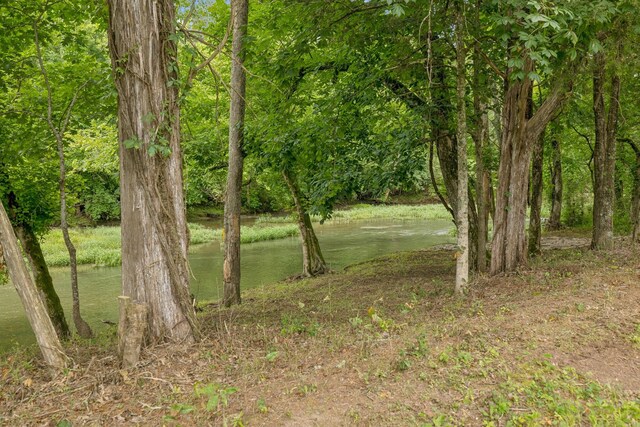 0 Trice Rd, Lebanon, TN 37087 - photo 28