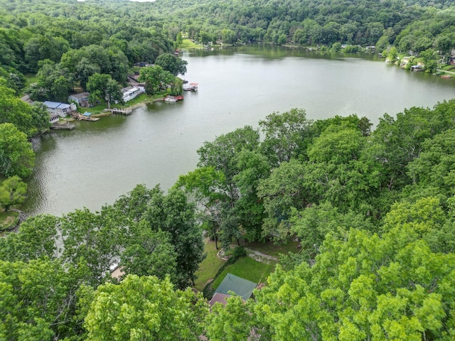 1795 Lake Logan Rd, Ardmore, TN 38449 - aerial view of a nearby body of water