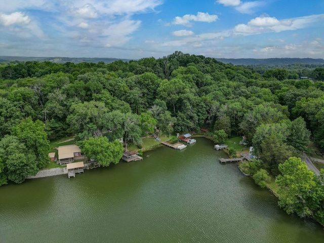 1795 Lake Logan Rd, Ardmore, TN 38449 - aerial view of property and surrounding area with a forest and a large body of water