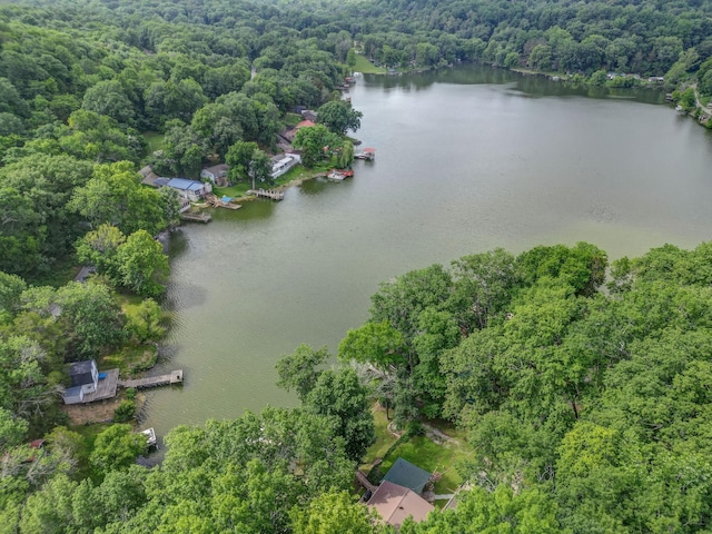 1795 Lake Logan Rd, Ardmore, TN 38449 - aerial view of property and surrounding area featuring a heavily wooded area and a large body of water