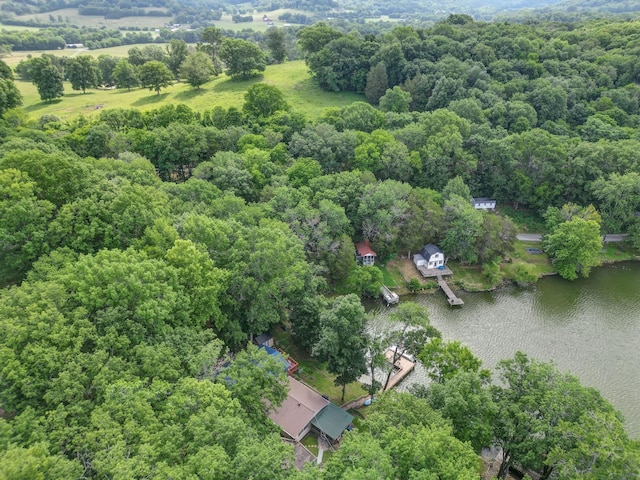 1795 Lake Logan Rd, Ardmore, TN 38449 - aerial view of a nearby body of water and a heavily wooded area