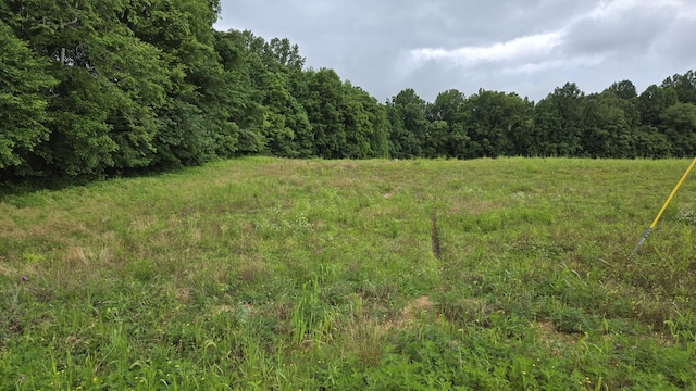 0 White Springs Ln, Lafayette, TN 37083