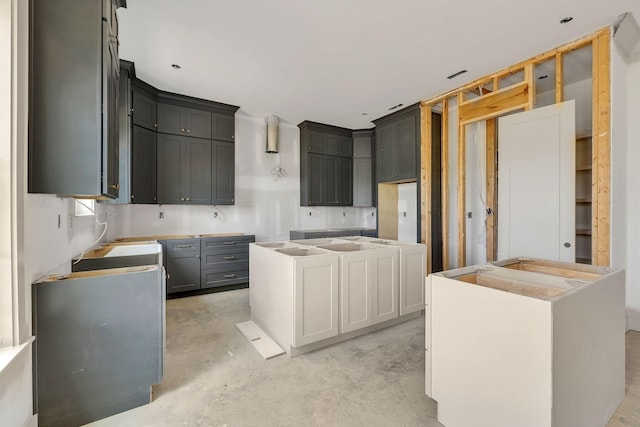 5414 Old Salem Rd, Rockvale, TN 37153 - kitchen featuring concrete flooring