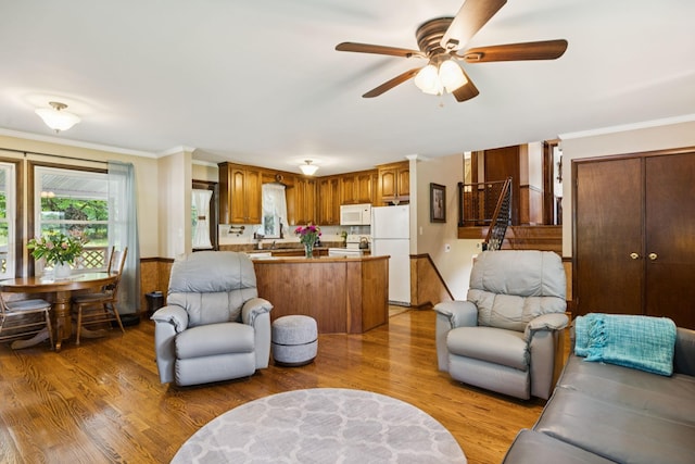 7180 Elrod Rd, Fairview, TN 37062 - living room with a ceiling fan, light wood finished floors, ornamental molding, and stairs