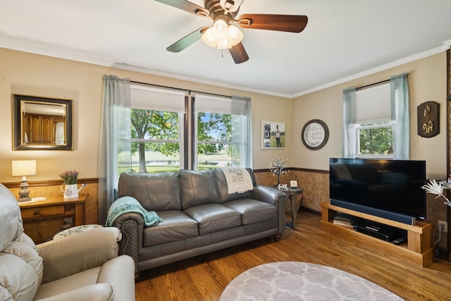 7180 Elrod Rd, Fairview, TN 37062 - living room with a wainscoted wall, wood finished floors, crown molding, and a ceiling fan
