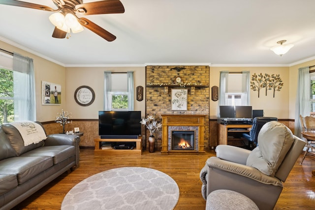 7180 Elrod Rd, Fairview, TN 37062 - living room featuring healthy amount of natural light, wood finished floors, crown molding, a brick fireplace, and ceiling fan
