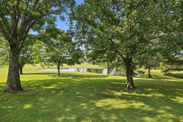 7180 Elrod Rd, Fairview, TN 37062 - view of grassy yard with a water view