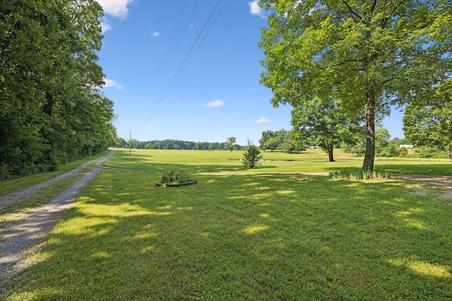 7180 Elrod Rd, Fairview, TN 37062 - view of property's community with a yard