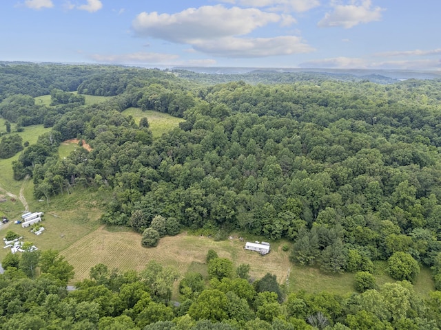 55 Thompson Hollow Rd, Taft, TN 38488 - photo 1