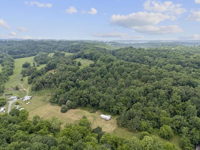 55 Thompson Hollow Rd, Taft, TN 38488 - photo 11
