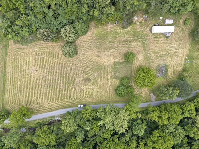 55 Thompson Hollow Rd, Taft, TN 38488 - photo 9