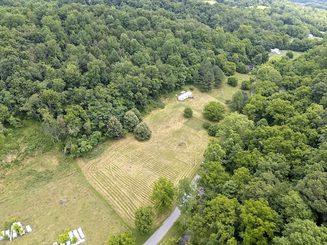 55 Thompson Hollow Rd, Taft, TN 38488 - photo 5
