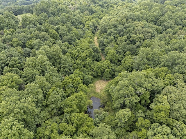 55 Thompson Hollow Rd, Taft, TN 38488 - photo 3