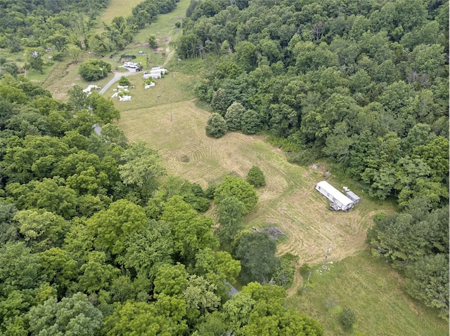 55 Thompson Hollow Rd, Taft, TN 38488 - photo 8