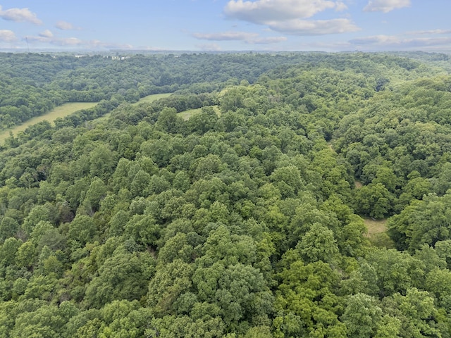 55 Thompson Hollow Rd, Taft, TN 38488 - photo 2