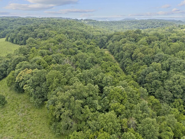 55 Thompson Hollow Rd, Taft, TN 38488 - photo 10