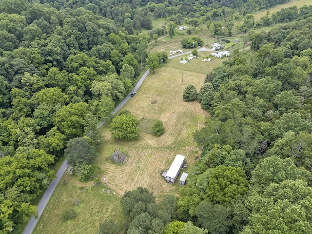 55 Thompson Hollow Rd, Taft, TN 38488 - photo 7