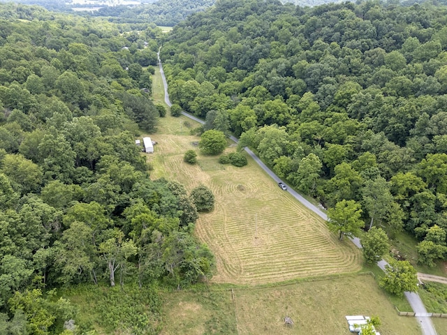 55 Thompson Hollow Rd, Taft, TN 38488 - photo 6