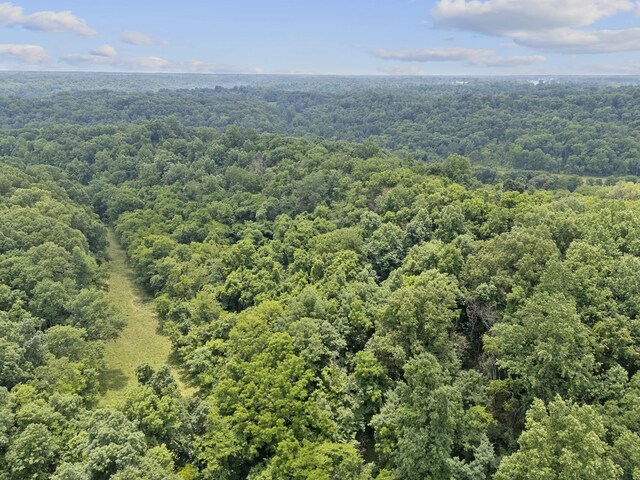 55 Thompson Hollow Rd, Taft, TN 38488 - photo 4