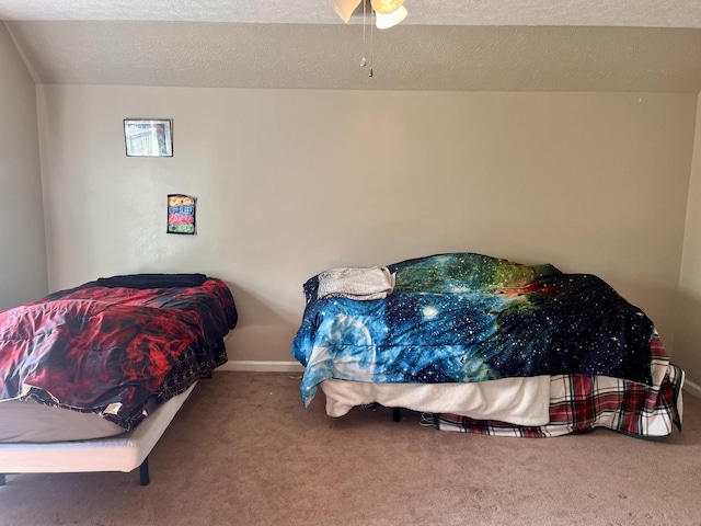 4038 Mount Zion Rd, Morrison, TN 37357 - bedroom featuring carpet floors and a textured ceiling