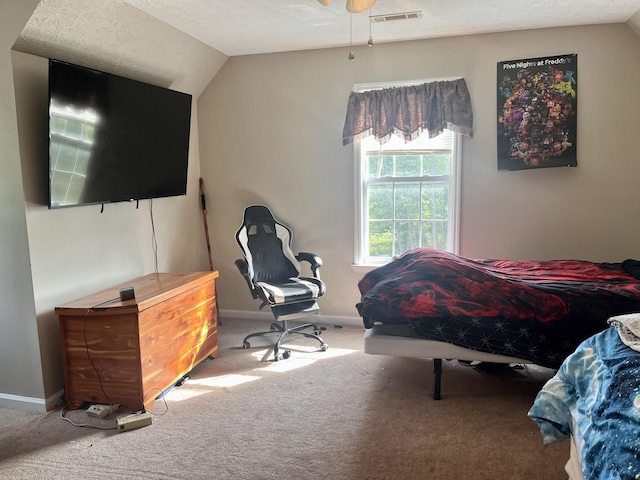 4038 Mount Zion Rd, Morrison, TN 37357 - carpeted bedroom featuring vaulted ceiling and a textured ceiling
