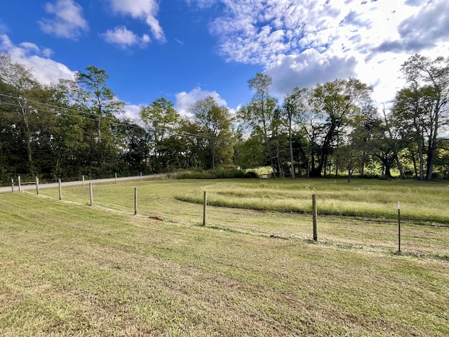 4038 Mount Zion Rd, Morrison, TN 37357 - view of yard