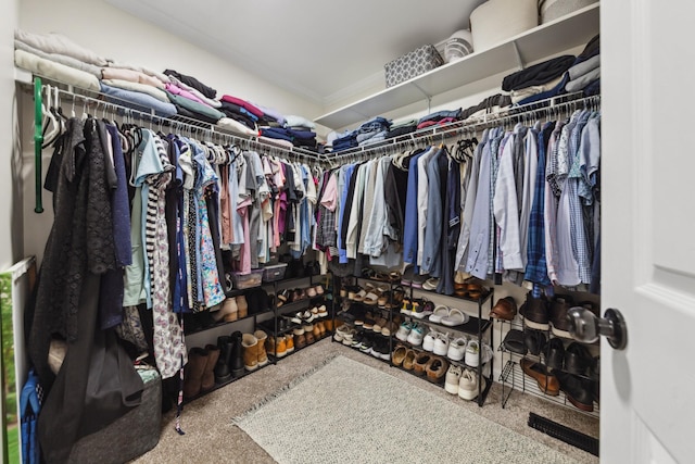 1704 Christi Ave, Chapel Hill, TN 37034 - spacious closet featuring carpet floors
