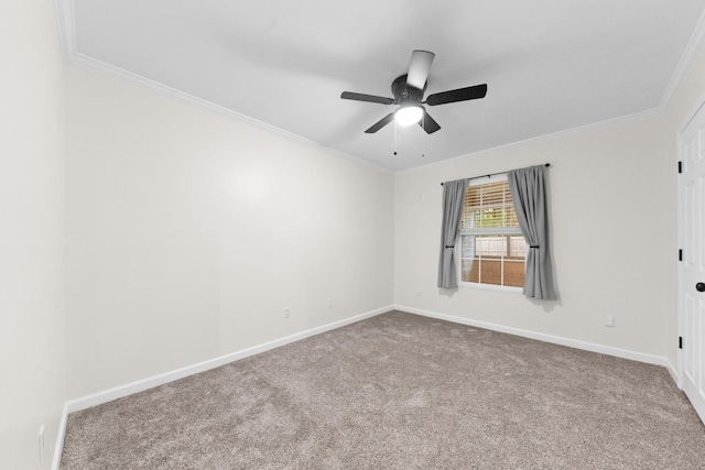 1704 Christi Ave, Chapel Hill, TN 37034 - photo 49