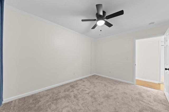 1704 Christi Ave, Chapel Hill, TN 37034 - photo 53