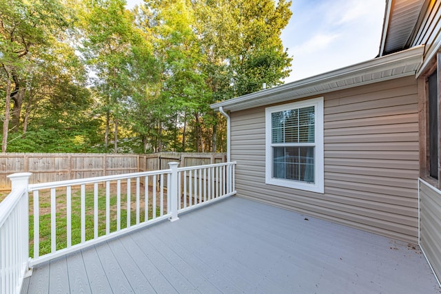 1704 Christi Ave, Chapel Hill, TN 37034 - photo 59