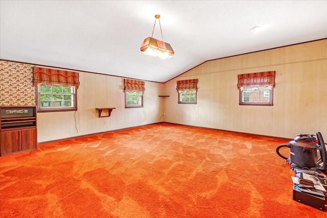 89 Belmar Cir, Manchester, TN 37355 - spare room with carpet floors and vaulted ceiling