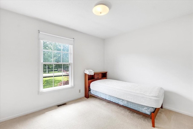 89 Belmar Cir, Manchester, TN 37355 - carpeted bedroom with multiple windows