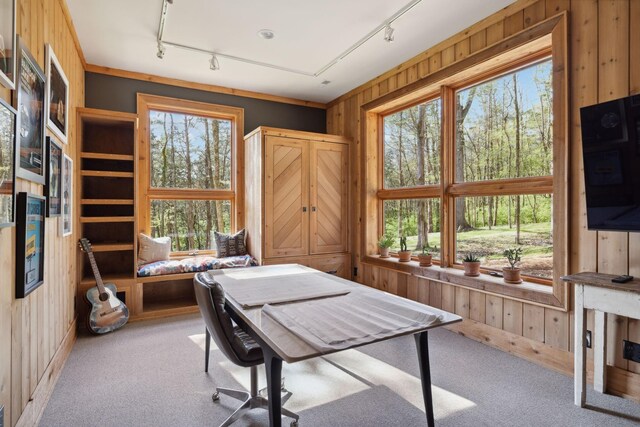 1006 Scramblers Knob, Franklin, TN 37069 - photo 69